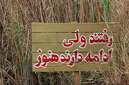 پیام شهیدان هنوز هم به گوش می رسد: «راهمان را ادامه دهید» پیام شهیدان هنوز هم به گوش می رسد: «راهمان را ادامه دهید»