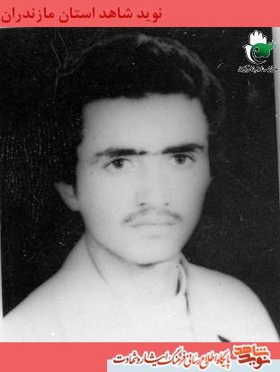سرباز فداكار اسلام؛ شهيد شعبانعلى دارابى