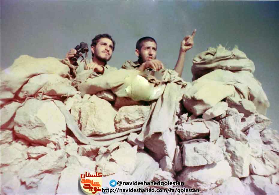 ییی ییی