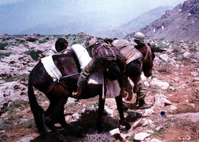 «ذوالجناح رزمندگان» به روایت حاج بخشی «ذوالجناح رزمندگان» به روایت حاج بخشی