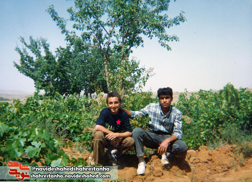 زندگی نامه شهید مرتضی صفایی