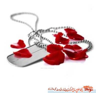 رشادت و دلاوری های شهید تولایی زبانزد خاص و عام بود