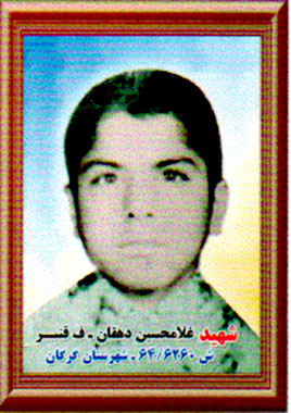 گل سرخی که در آرزوی پرپر شدن بود! گل سرخی که در آرزوی پرپر شدن بود!