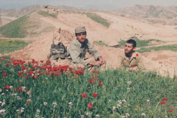 مرا به خدا سپرده اید پس از خدا بخواهید