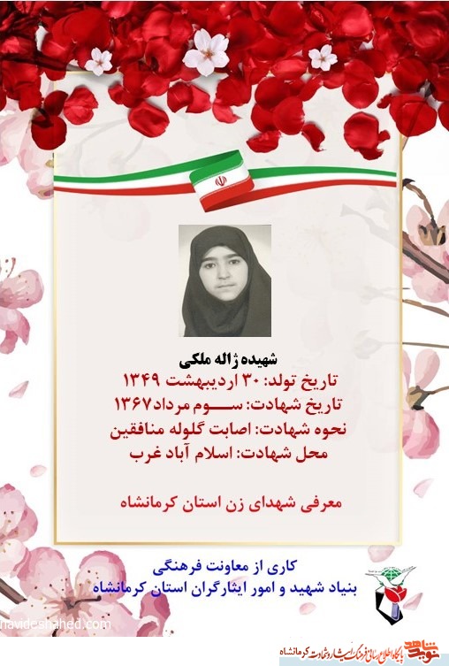 مروری مختصر بر زندگی نامه شهیده 