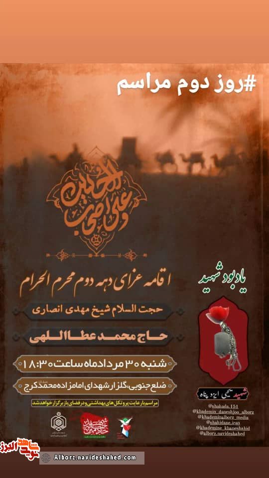 اخبار