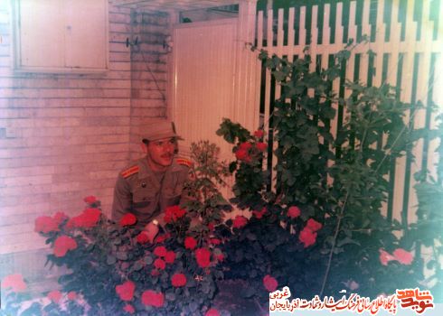 آلبوم عکس/شهید «حسین احیاء عصر»