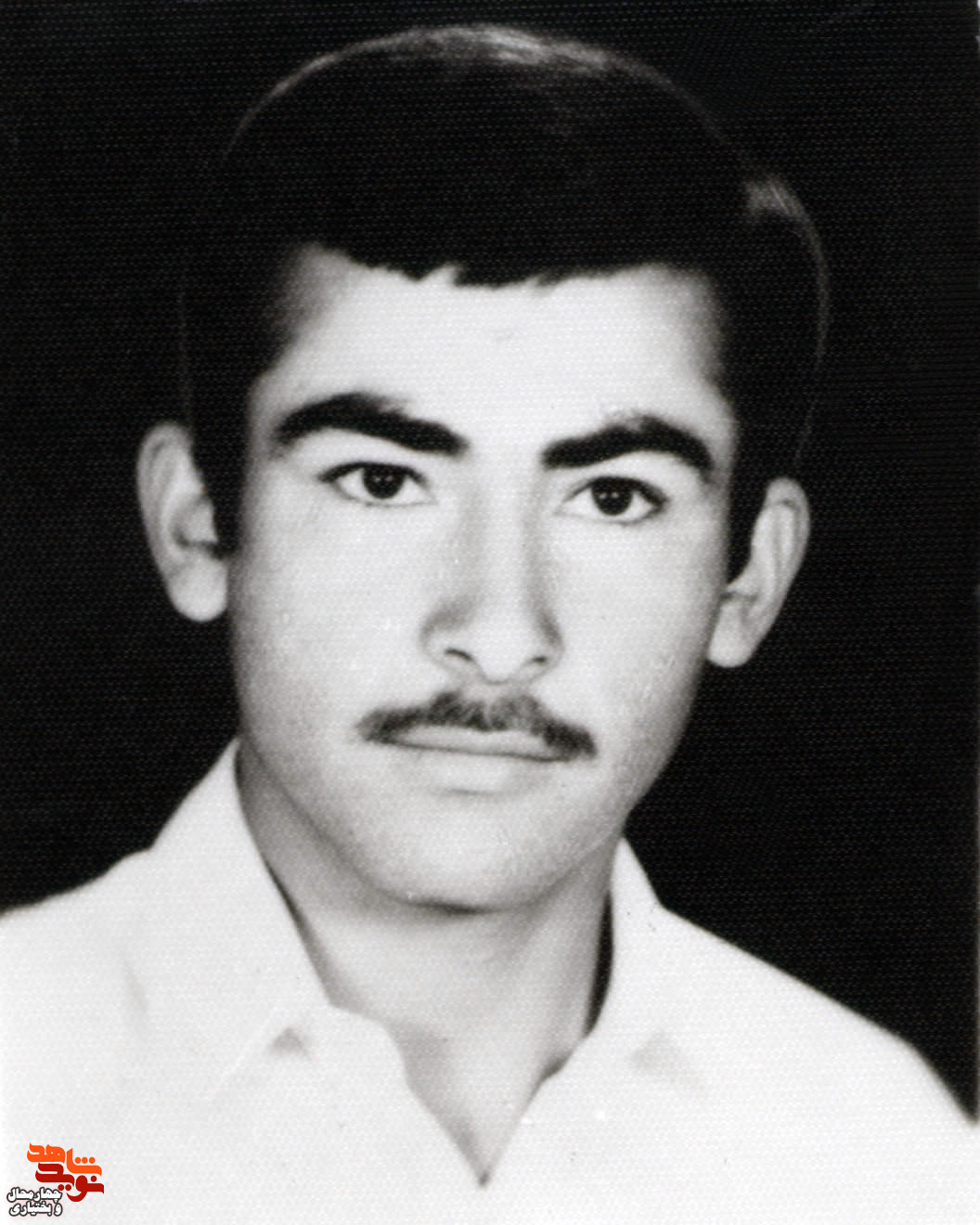 شهید