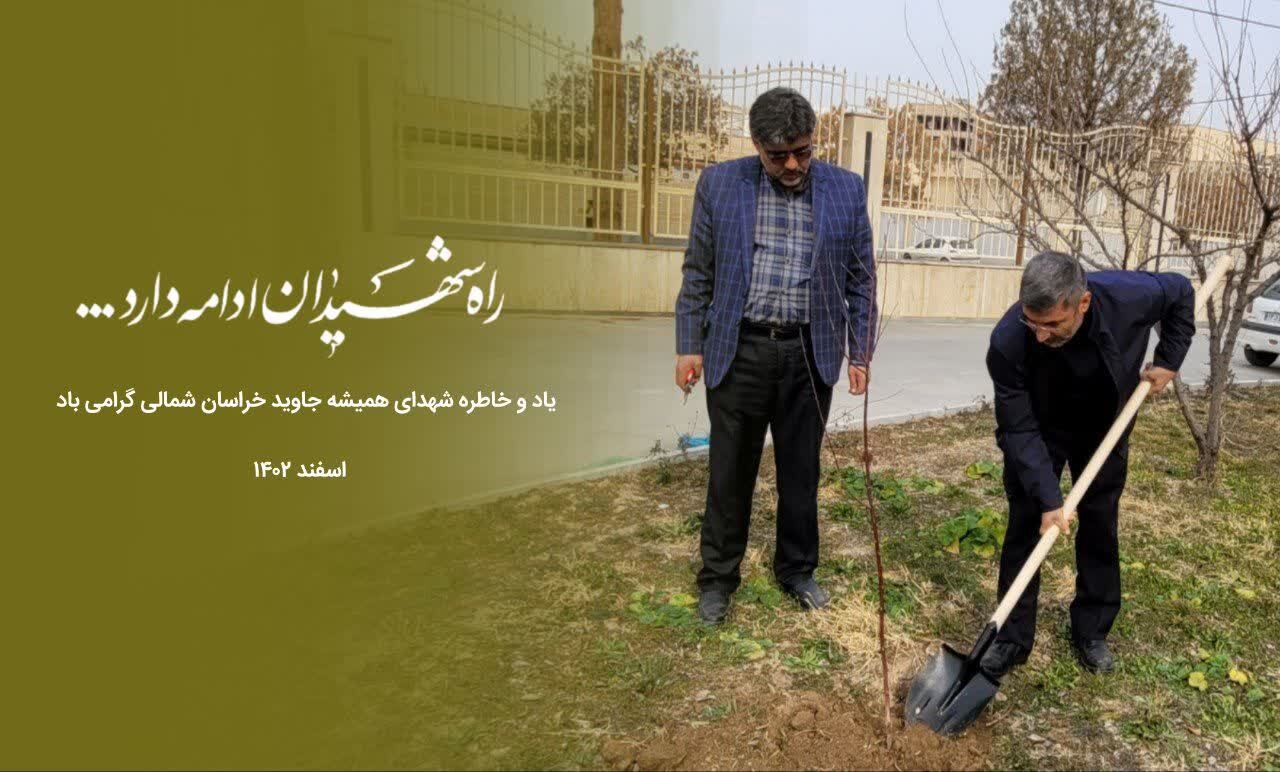 کاشت نهال به یاد شهدا