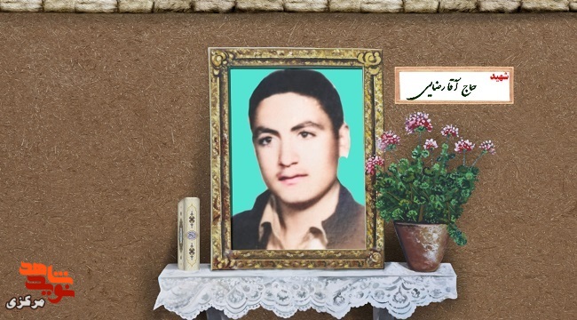 سرو همیشه‌ سبز ایستادگی