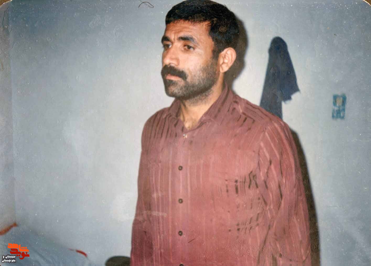 آلبوم تصاویر شهید«محمد باستانی» منتشر شد