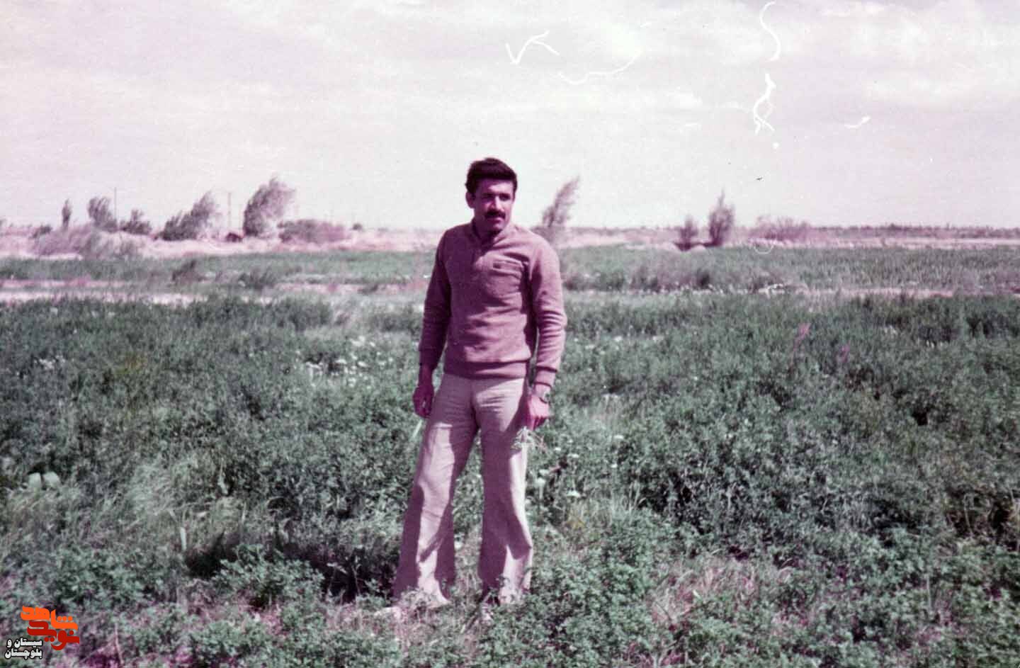 آلبوم تصاویر شهید«محمد باستانی» منتشر شد