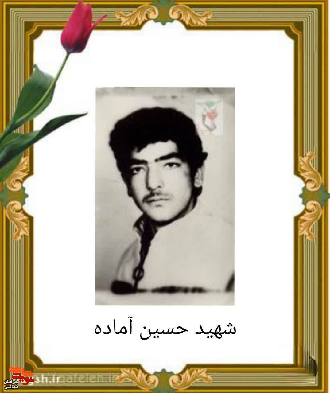 شهادتم مانند عروسى ام است